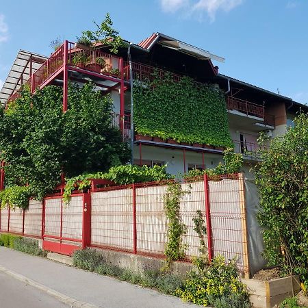 Ljubljana'S Terrace Apartman Kültér fotó
