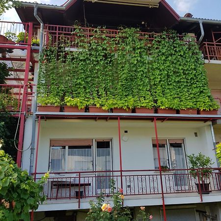 Ljubljana'S Terrace Apartman Kültér fotó